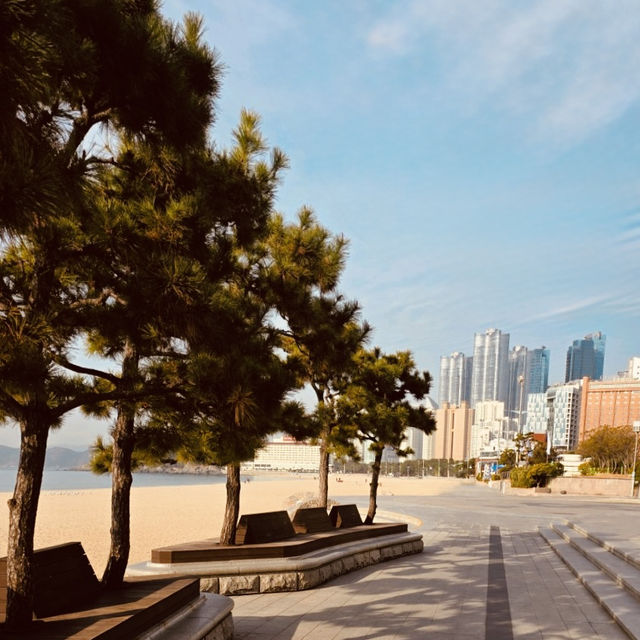Haeundae Beach, Busan: The Essential Summer Destination