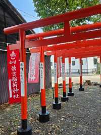舉起石頭願望成真〔大垣市 德吉稻荷神社〕