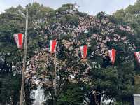 🔥「東京初見櫻花大爆發！穿越歷史畫卷的上野恩賜花園」