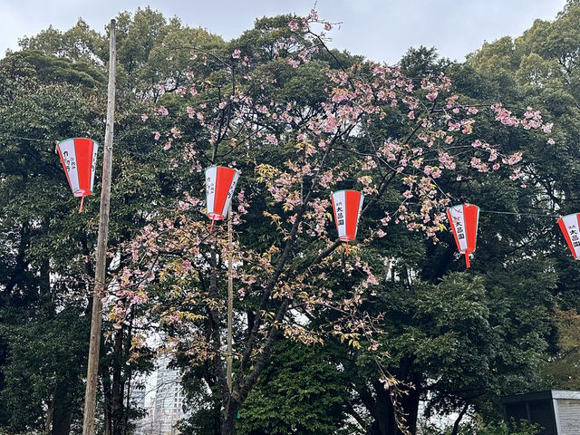 🔥「東京初見櫻花大爆發！穿越歷史畫卷的上野恩賜花園」