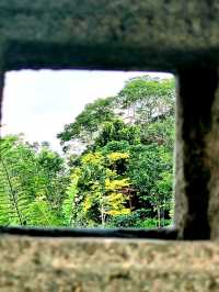 The Zen experience at the Teahouse, Japanese Gardens
