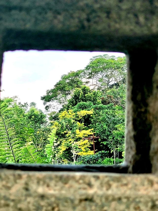 The Zen experience at the Teahouse, Japanese Gardens