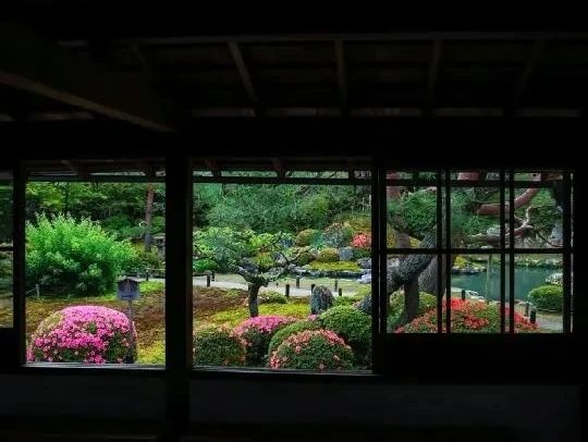 京都🇯🇵青蓮院