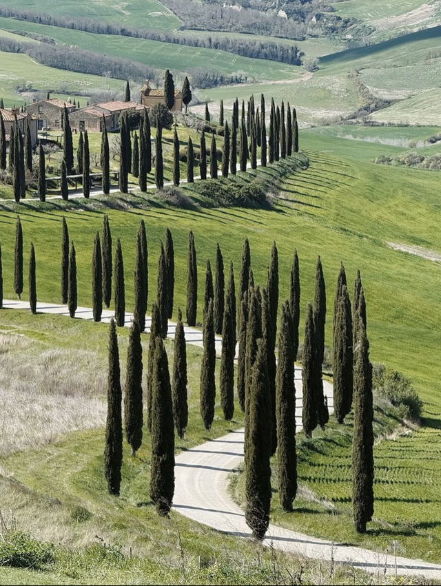 🇮🇹 托斯卡納，堪稱意大利旅行的天花板 
