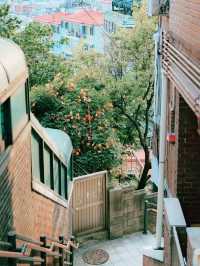 Korea Lifestyle