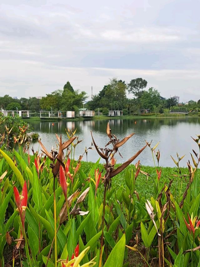 🌊 Taman Tasik Titiwangsa – KL’s Best Lakeside Water Adventure Spot! 🚣‍♀️☀️