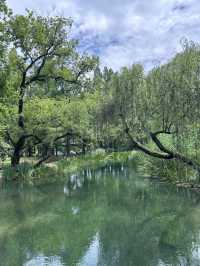 Summer Hangzhou in green