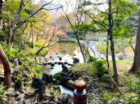 A Peaceful Stop at Shinkyo Bridge, Nikko