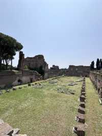 Roman Forum & Palatine Hill – Walk Through the Heart of Ancient Rome