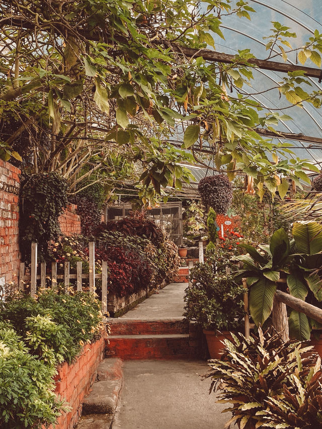 Strawberries, Flowers & Café Treats: A Day at Big Red Farm