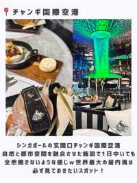 シンガポールひとり旅行ってよかった場所🇸🇬