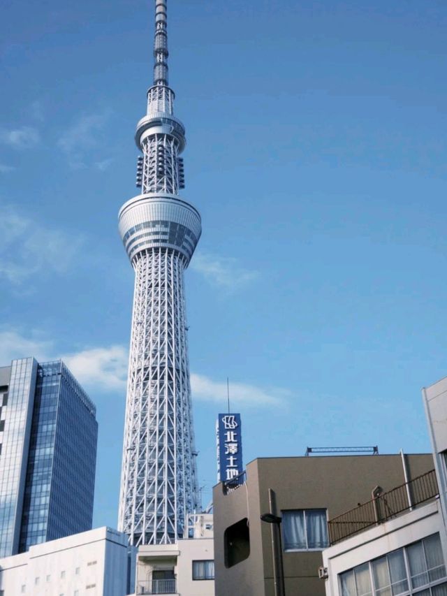 🇯🇵✨ Tokyo – A Dazzling Fusion of Tradition & Tomorrow! ✨🏙️