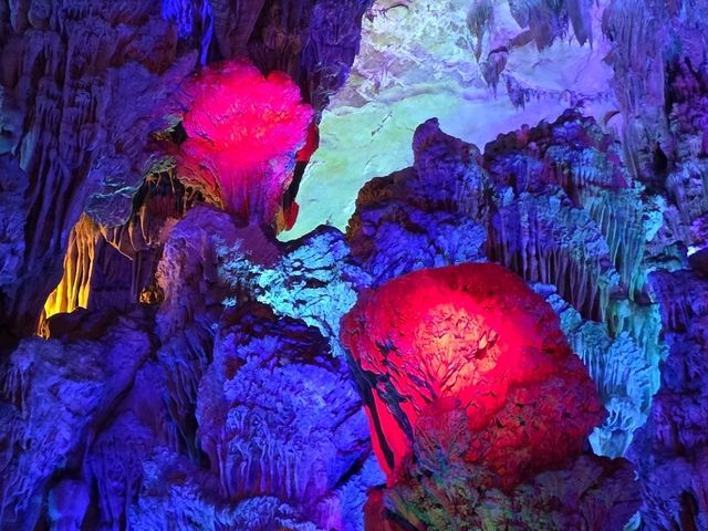 A portal into nature's works of art