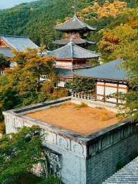 เยือนวัดซึโบซากะ สัมผัสพลังศรัทธา