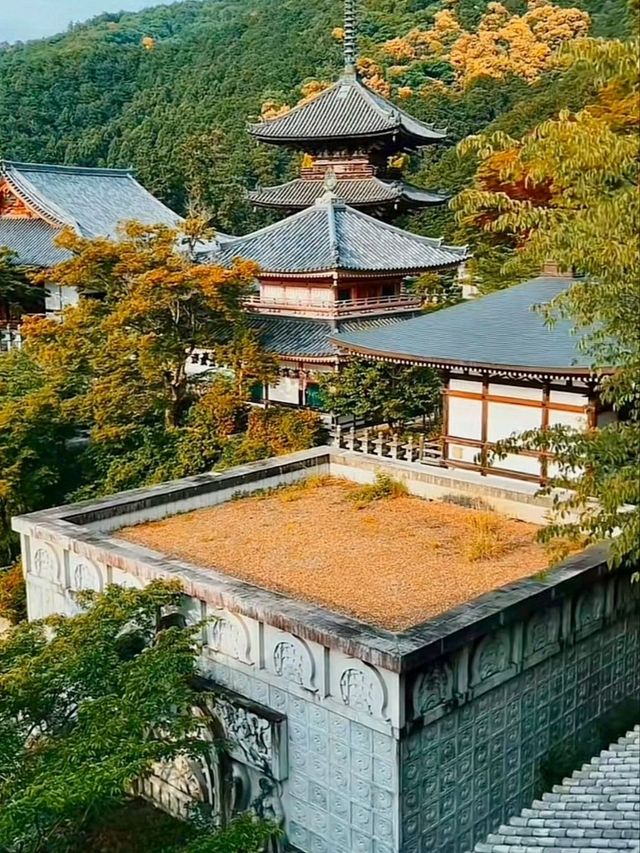 เยือนวัดซึโบซากะ สัมผัสพลังศรัทธา