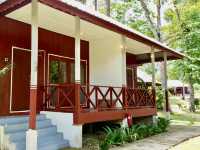 A Village Between the Trees: Living Local in Sungai Lembing