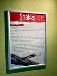 “Explore the Fascinating World of Reptiles at Rimba Reptilia”