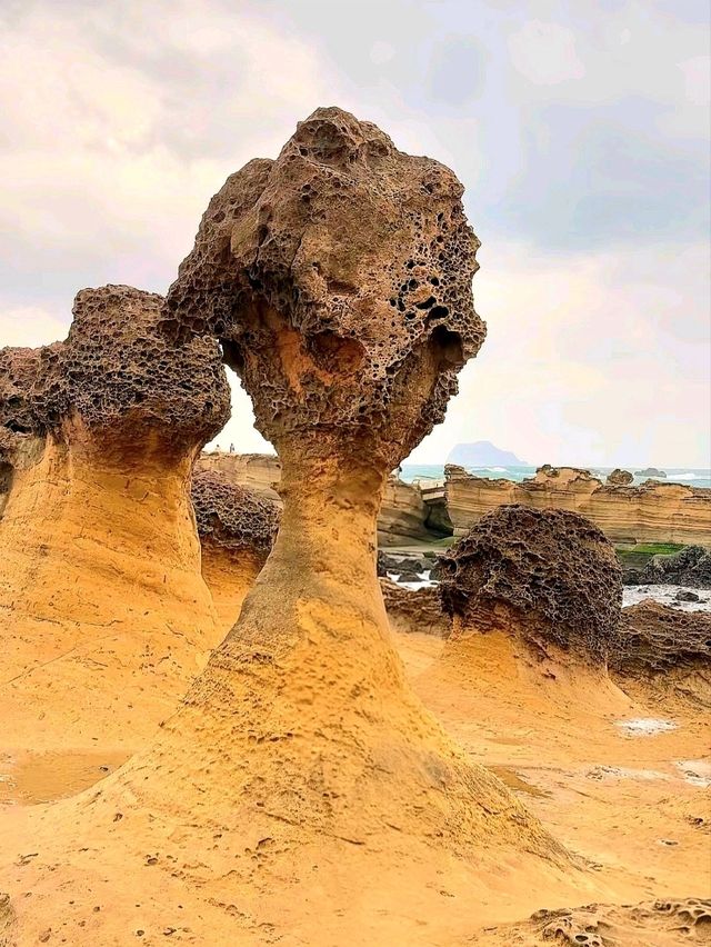 Nature’s Art at Yehliu Geological Park