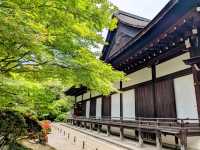 京都 | 方丈庭園，知恩院面向北條的名勝庭園