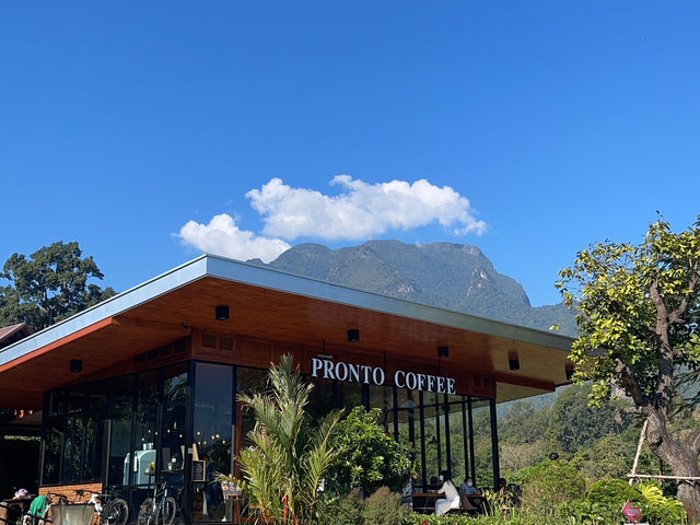   ☕ รีวิวโรงคั่วกาแฟ Pronto เชียงดาว