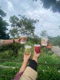 Medan lil dumps