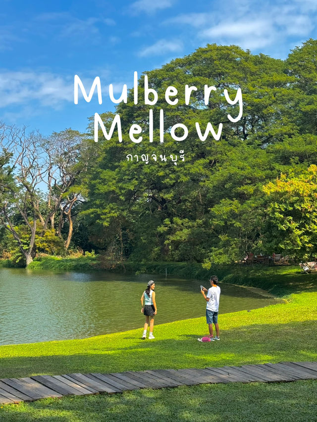 คาเฟ่กาญจนบุรี Vibes ดีมาก 💚🌳