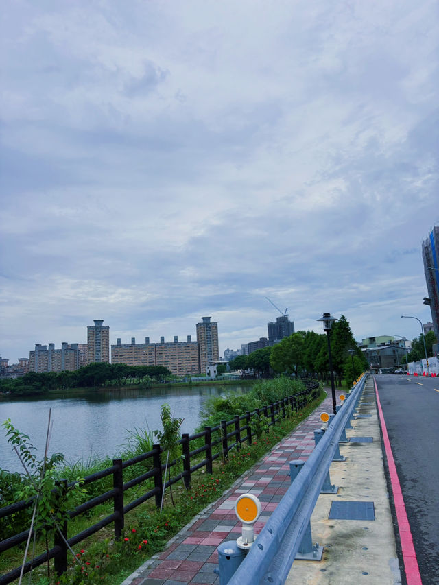 🌿祥鷺生態埤塘公園｜桃園市區裡的小森林，輕鬆散步賞水鳥的靜謐角落 🐦🌾