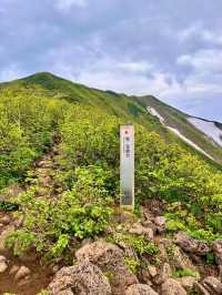 【北海道利尻島】北の最果て利尻山⛰️