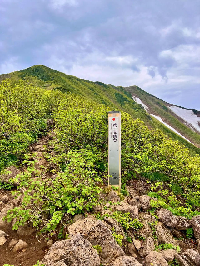 【北海道利尻島】北の最果て利尻山⛰️