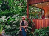 คาเฟ่นนทบุรีสุดกรีน