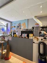 在高雄，遇見一間會「喵」的港味回憶 ——《貓之家俱樂部 Cat’s Home Club》
