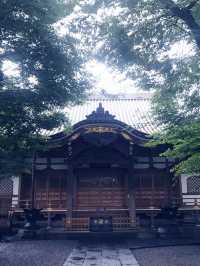 【大人な井の頭公園　東京　吉祥寺　三鷹　井の頭池アラウンドウォーキング】