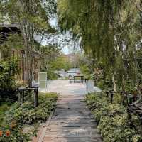 Tavy’s Home – ที่พักอบอุ่นเหมือนบ้านจริง ๆ 