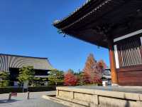 京都紅葉名勝：東福寺