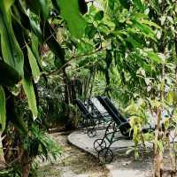 Tropical Whispers and Rustic Wonder
