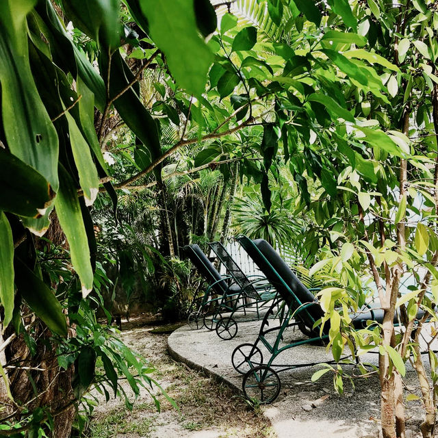 Tropical Whispers and Rustic Wonder