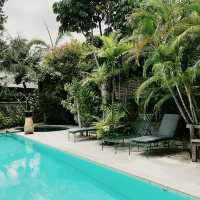 Tropical Whispers and Rustic Wonder