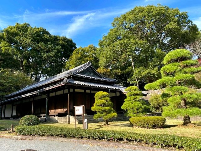 A Glimpse into the Heart of Tokyo – The Imperial Palace