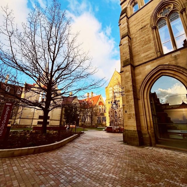 The university of manchester
