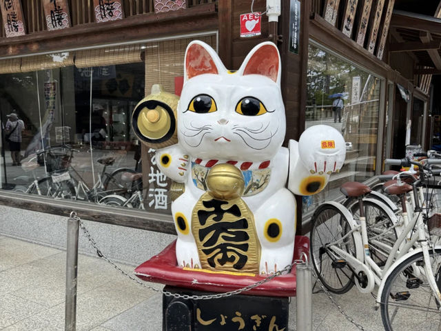 Amanohashidate & Ine Boathouses: A Scenic Day Trip from Kyoto! 🇯🇵🌊