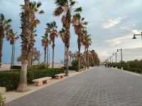 Valencia Beach Walks Hit Different