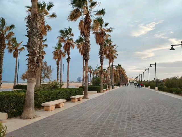 Valencia Beach Walks Hit Different