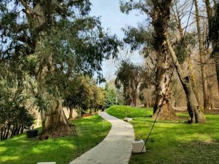 Tree Huggers’ Paradise at Shekvetili Dendrological Park