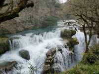Floating Through a Dream at Martvili Canyon