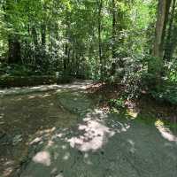 Sliding Rock – Pisgah National Forest