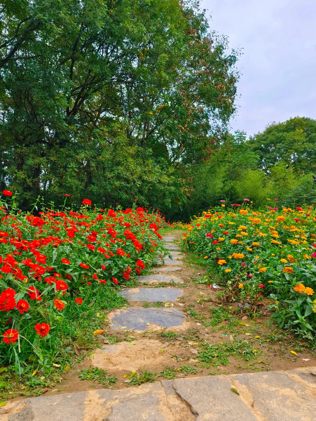 Wuhan Botanical Garden 🌿🌸🦋