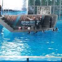 SeaWorld San Antonio