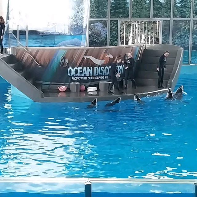 SeaWorld San Antonio