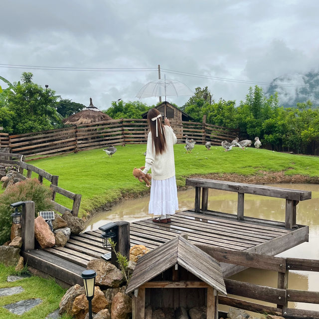 คาเฟ่เชียงดาวสุดคิ้วท์ 🪿🧺