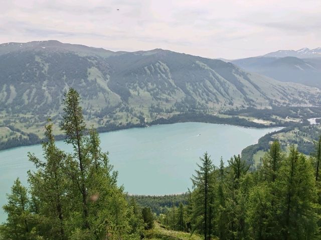 Reaching the Summit: A Feast for the Eyes